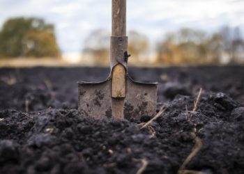 Поліцейські перекопали город пенсіонерки, аби знайти гроші, які вона забула, де сховала