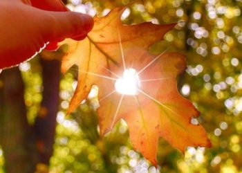 Синоптики потішили укрaїнців прогнозом до кінця тижня