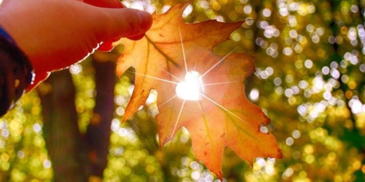 Синоптики потішили укрaїнців прогнозом до кінця тижня