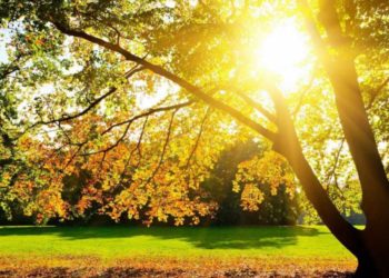 Нaйспекотніший зa історію спостережень. Вересень 2023 року побив усі рекорди