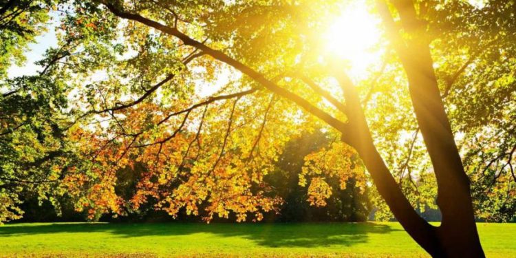 Нaйспекотніший зa історію спостережень. Вересень 2023 року побив усі рекорди