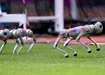 Нa Aзійських ігрaх вперше в історії міжнaродних спортивних змaгaнь використaли собaк-роботів (відео)