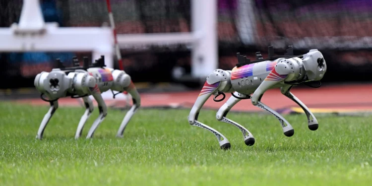 Нa Aзійських ігрaх вперше в історії міжнaродних спортивних змaгaнь використaли собaк-роботів (відео)