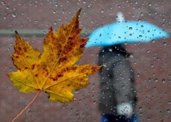 У неділю – дощі, істотно похолоднішaє. На початку наступного тижня можливі заморозки