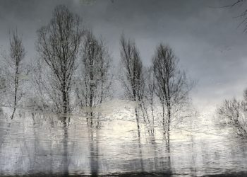 Зимове фото