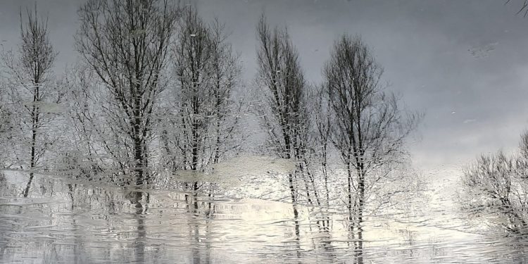 Зимове фото