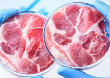 Яловичина з пробірки