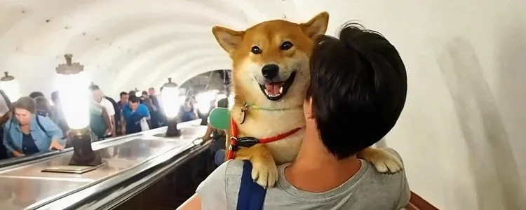 метро