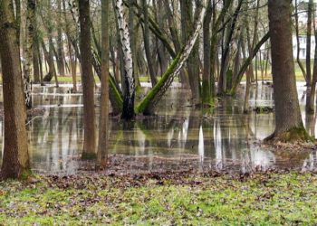 підтоплення