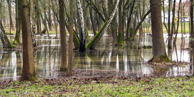підтоплення