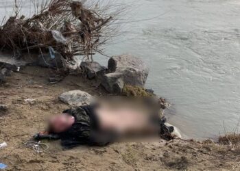 Потопельник