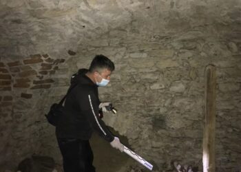 Знахідки у підземеллях храму на Тернопільщині