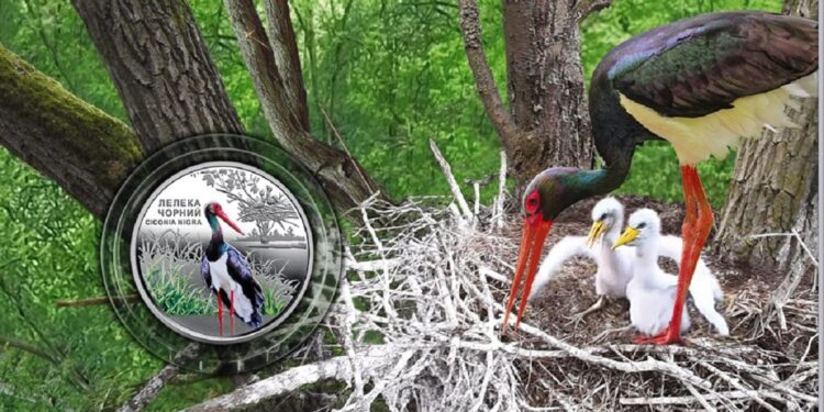 монета колекція