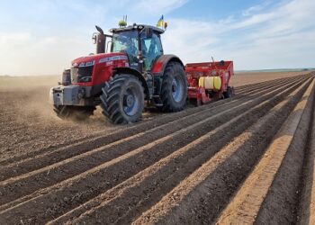 Овочівництво МХП