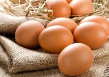 яйця курячі