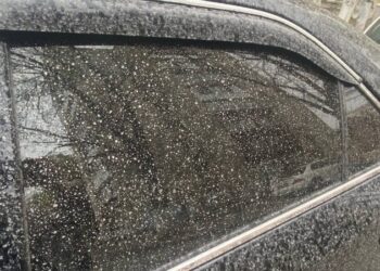 брудний дощ