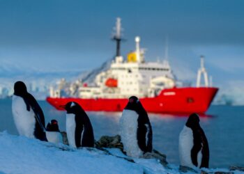 Антарктида