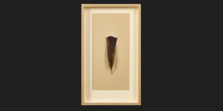 На аукціоні продали пташине перо за понад 28 тисяч доларів