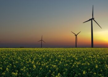 Вітрогенератори. Ілюстративне фото