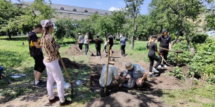 розкопки