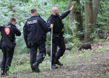 Розслідування поліції Німеччини