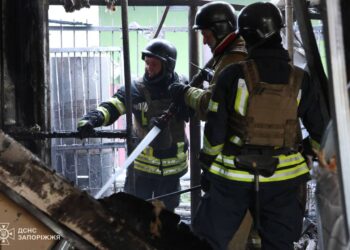 Рятувальна операція у Вільнянську. ДСНС