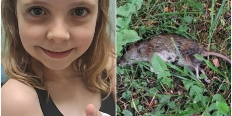 Щур вкусив дитину. Зображення. ТГ-канал Львів | Новини | LEMBERG