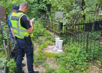 Вандали пошкодили могилу Міхновського