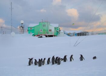 Понад 70 українців вирішили стати полярниками