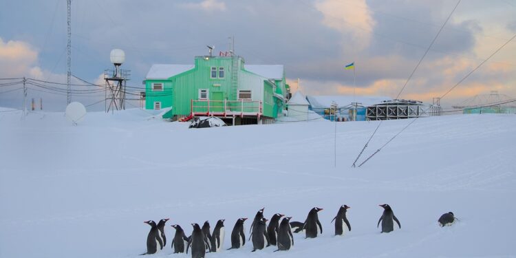 Понад 70 українців вирішили стати полярниками