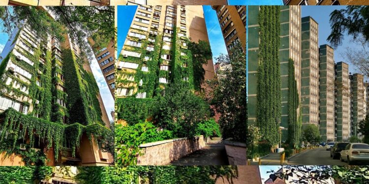 Фото для колажу взяті зі сторінки Великий Київ