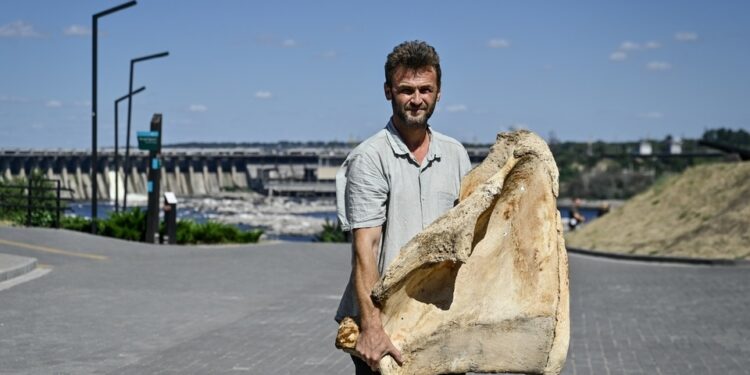 Фото Укрінформ