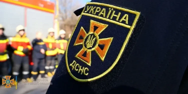 дснс