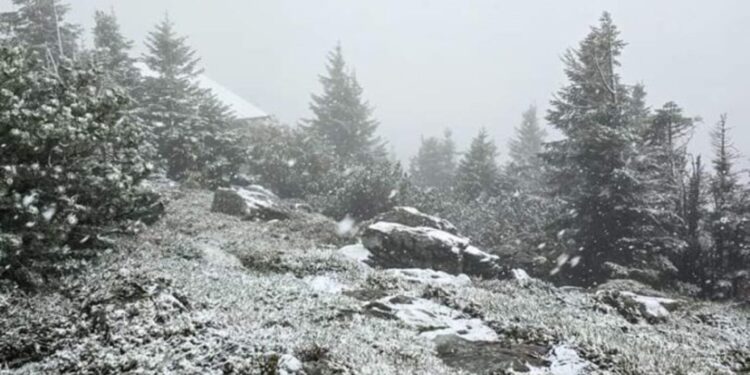 Жовтий рівень оголошено у столичному регіоні