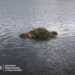 Фото Держприкордонслужба