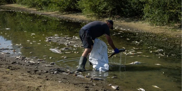 Фото Новинарня