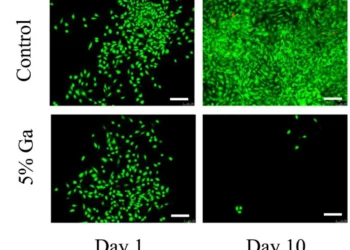 Клітини раку