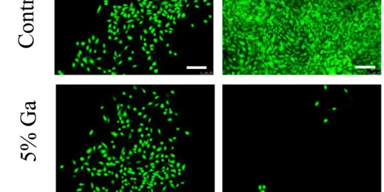 Клітини раку