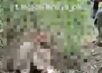 Скрін з відео вбивства українського військовополоненого