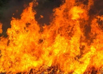 Вогонь. Пожежа. Ілюстративне фото