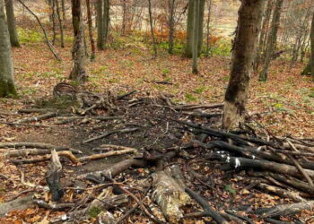 Сколівські Бескиди