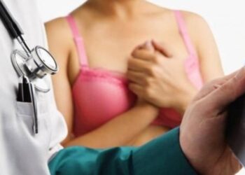 молочні залози