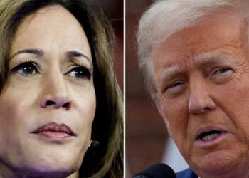 Гарріс та Трамп. The Hill