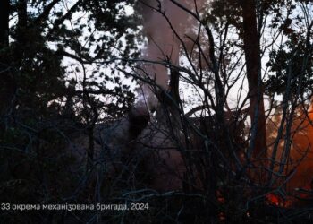 Гвоздика в роботі