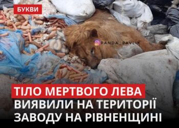 Зображення зі сторінки БУКВИ