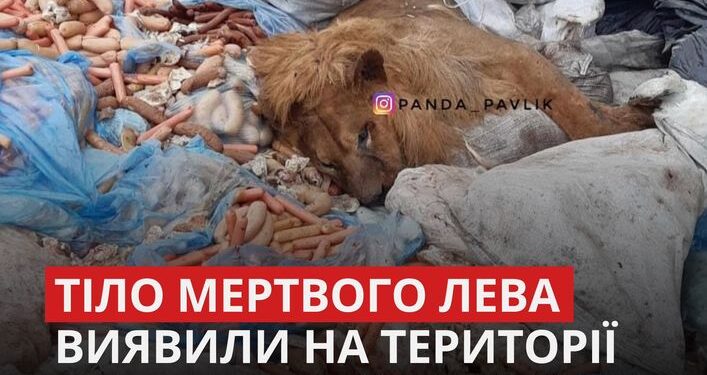 Зображення зі сторінки БУКВИ