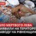 Зображення зі сторінки БУКВИ