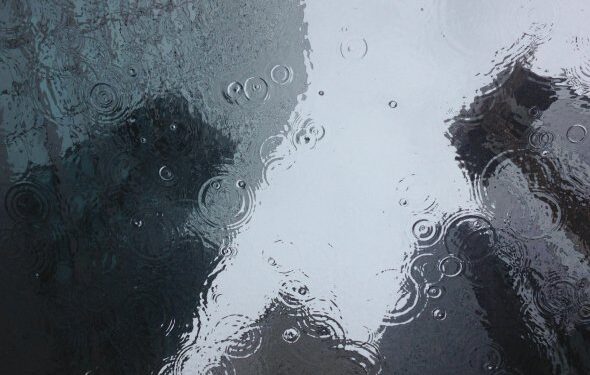 У Києві потепліє вже найближчим часом