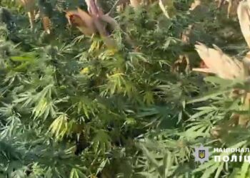 Фото Нацполіція