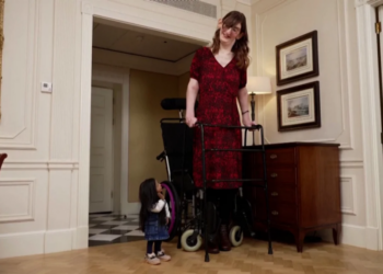 Книга рекордів Гіннеса